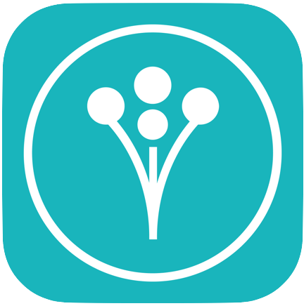 WeddingWire